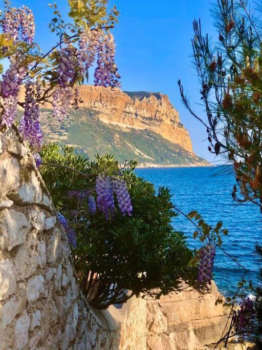 Charmant Studio Au Coeur De Cassis Luaran gambar